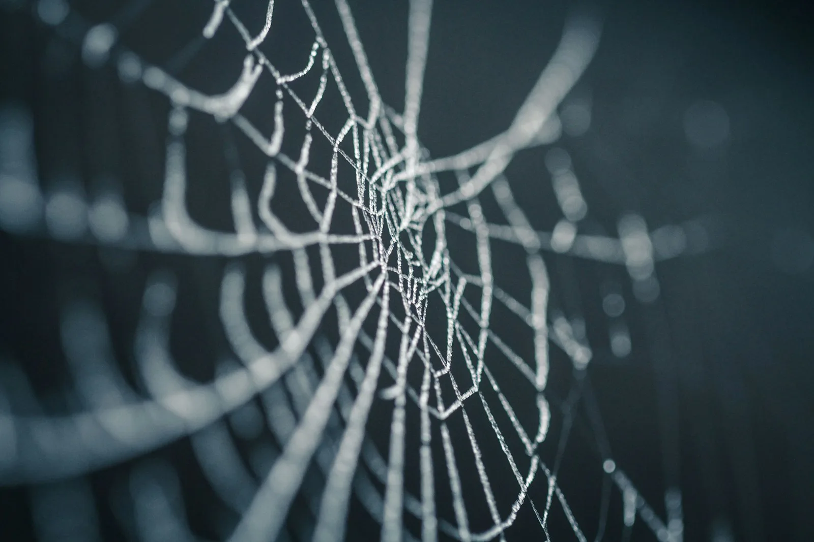 Building This Site Part 1.5: You ARE a Web Designer!